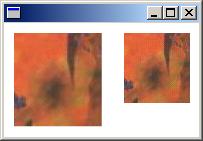 screen shot of a window that contains two versions of one image at different scales