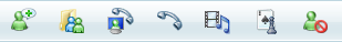 screen shot of toolbar with large, unlabeled icons 