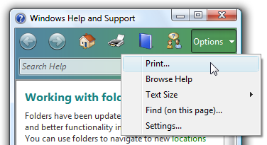 screen shot of print command on toolbar and menu 