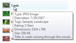 screen shot of photo's infotip showing file type 