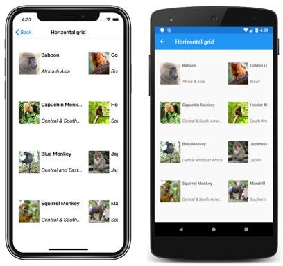 Screenshot of a CollectionView horizontal grid layout, on iOS and Android