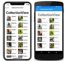 CollectionView Example