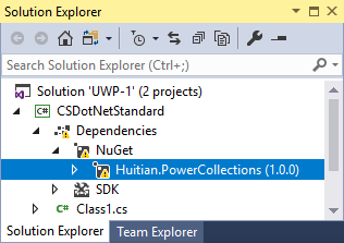 NuGet package in Solution Explorer