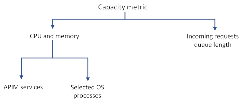 Diagrama que explica la métrica de capacidad.