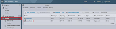 Screenshot of a page on the ESXi server site that shows the Navigator pane with the Storage option selected.
