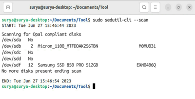 Captura de pantalla que muestra los resultados correctos al examinar un sistema para Data Box Disks.