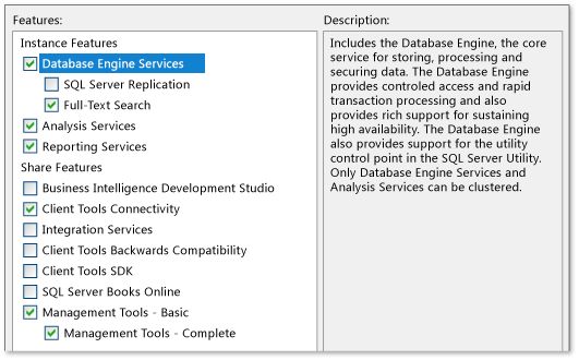 Instalar SQL Server 2008 R2: características