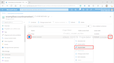 Screenshot showing how to access container lease settings in the Azure portal.