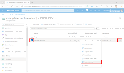 Screenshot showing how to access container metadata within the Azure portal.