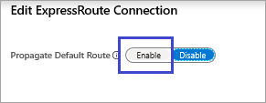 Captura de pantalla que muestra Habilitar para propagar la ruta predeterminada.