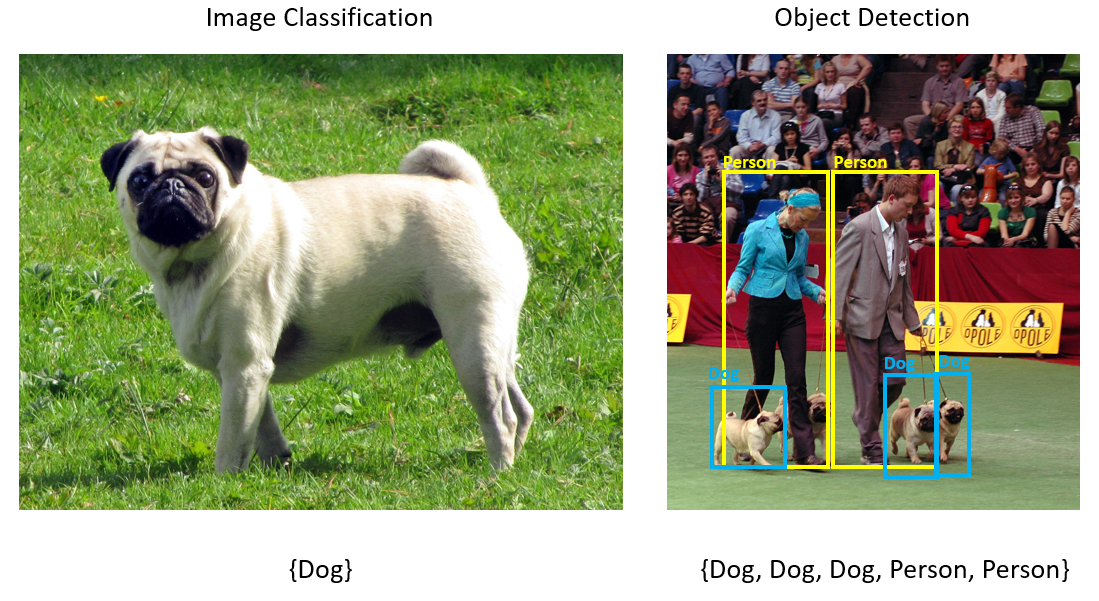 Capturas de pantalla en las que se muestran las diferencias entre la clasificación de imágenes y la clasificación de objetos.