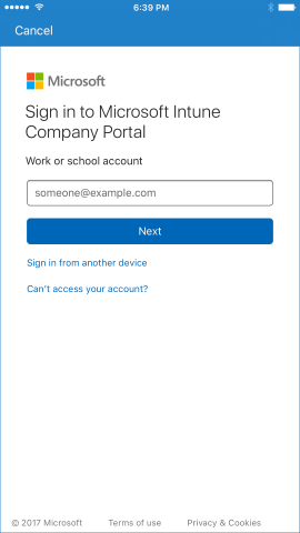 La página de inicio de sesión Portal de empresa, con un icono de una persona delante de una representación gráfica de un sitio web. Debajo está el botón 