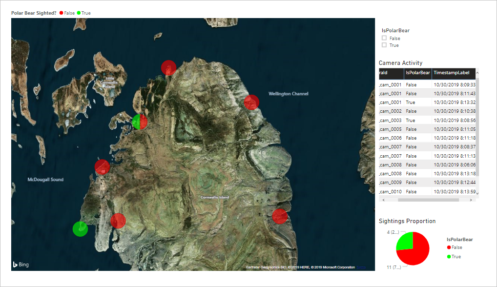 Screenshot that shows the live map and tracking for polar bears, with red and green bubbles at different locations.