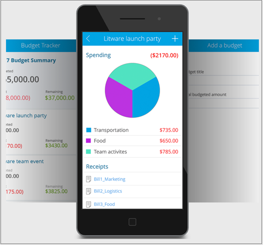 Captura de pantalla de la plantilla de control de presupuestos.
