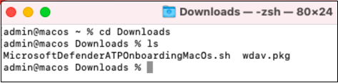 Captura de pantalla que muestra los dos archivos de descarga.