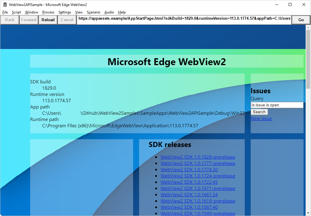 Ventana de la aplicación WebView2APISample que muestra la versión del SDK de WebView2 y la versión y la ruta de acceso del entorno de ejecución de WebView2