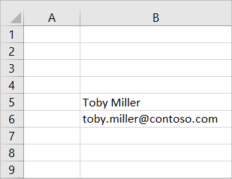 Información del perfil de usuario en la hoja de cálculo de Excel.