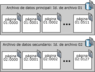 Números de página secuenciales en dos archivos de datos