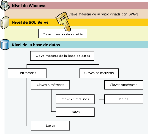 Jerarquía de claves: niveles Windows, SQL Server, base de datos