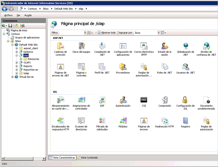 Captura de pantalla de la página principal del Administrador IIS