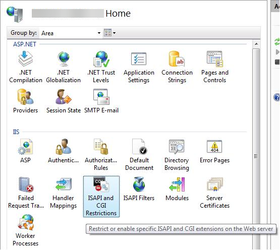 Captura de pantalla que muestra el administrador de I S con I S A P I y C G I Restrictions seleccionados.