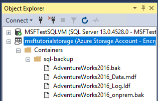 Data files within container on Azure
