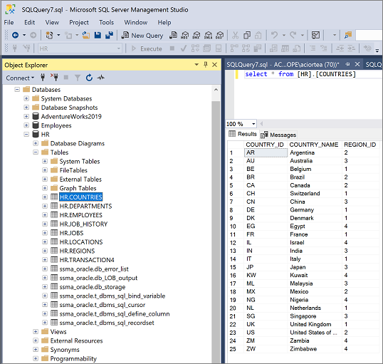 Screenshot of SQL Server Management Server.