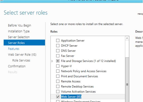 Captura de pantalla que muestra los roles de servidor seleccionados.