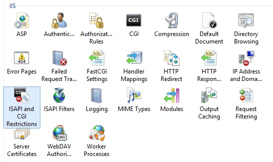 Captura de pantalla del panel I S Manager que muestra las restricciones de I S A P I y C G I seleccionadas.
