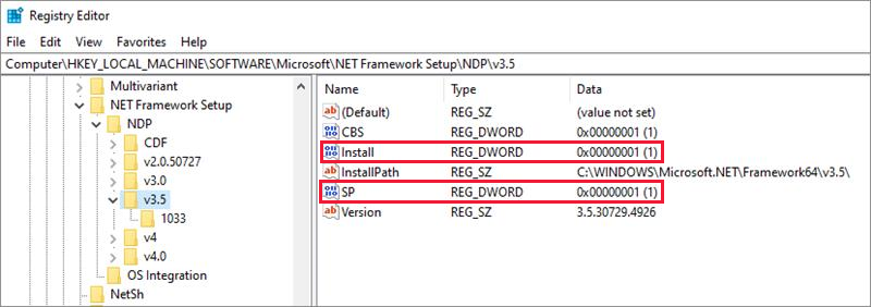 .net framework v4.0.30319 en una vps