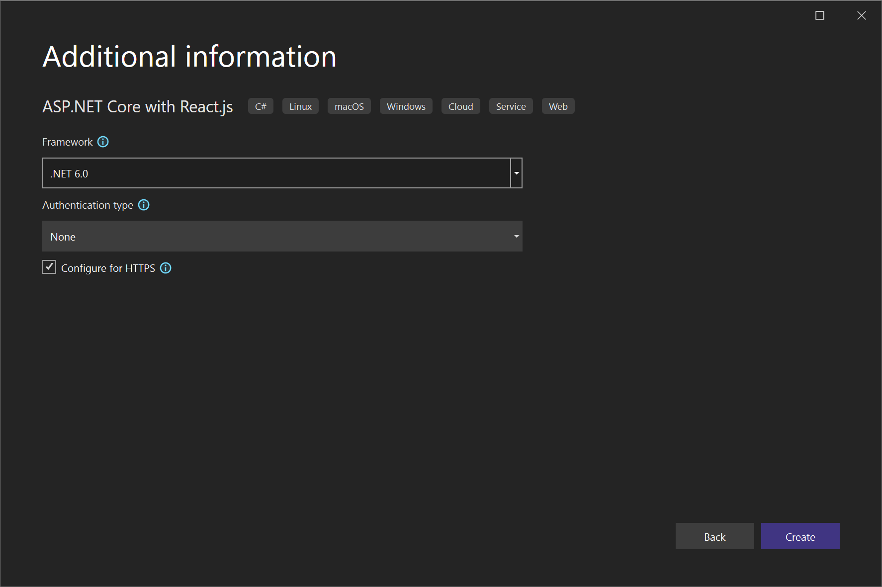 Captura de pantalla de la creación de un nuevo proyecto de React.js: pantalla Información adicional.