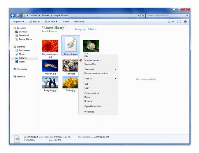 captura de pantalla que muestra que el explorador abre una imagen sin ningún tipo de archivo