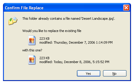 captura de pantalla del cuadro de diálogo "Confirmar reemplazo de archivo" 