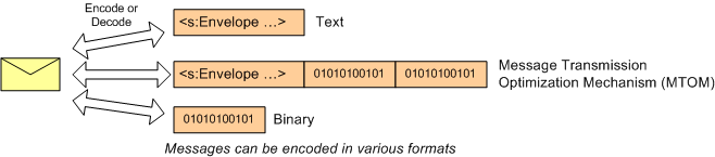 Diagram showing several message encoding formats.