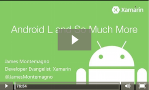 Video screenshot of Android L and So Much More presentation.