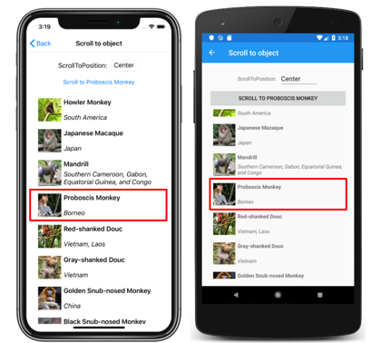 Captura de pantalla de una lista vertical CollectionView con ScrollToPosition.Center, en la lista vertical iOS y Android