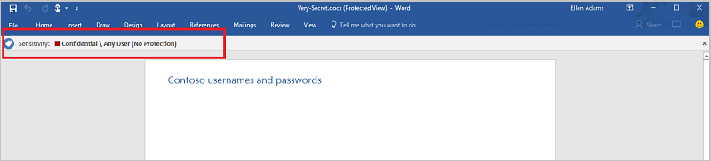 Pantalla de muestra de Microsoft Purview Information Protection.