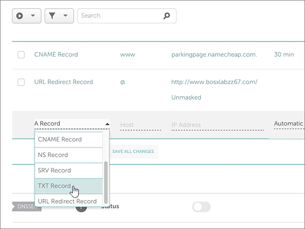 Seleccione Txt Record (Registro TXT) para el registro TXT de verificación de dominio.