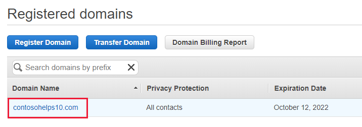 Captura de pantalla de Dominios registrados donde se selecciona el nombre de dominio para el registro TXT de comprobación de dominio.