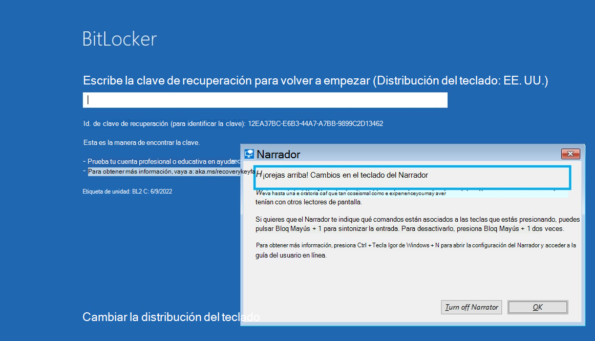 Captura de pantalla de Windows RE y narrador.