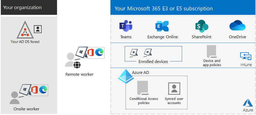 Yritysorganisaatio, jolla on Microsoft 365, Surface-laitteet ja Edge-selain.