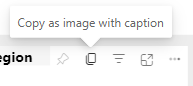 Copy visual as image icon displayed