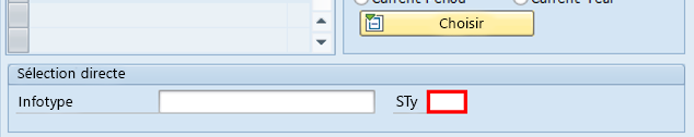 Capture d’écran de la fenêtre Maintenir les données de base des RH de l’application SAP Easy Access. Dans la zone Sélection directe de l’écran, le champ STy est sélectionné.