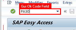 Capture d’écran de la fenêtre SAP Easy Access avec PA30 saisi dans le champ de code de transaction et le champ sélectionné.