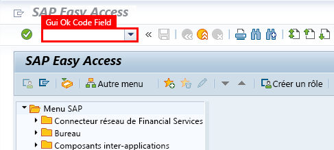 Capture d’écran de la fenêtre SAP Easy Access avec le champ de code de transaction sélectionné.