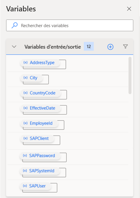 Capture d’écran des fenêtres de variables avec les noms de variables créés.