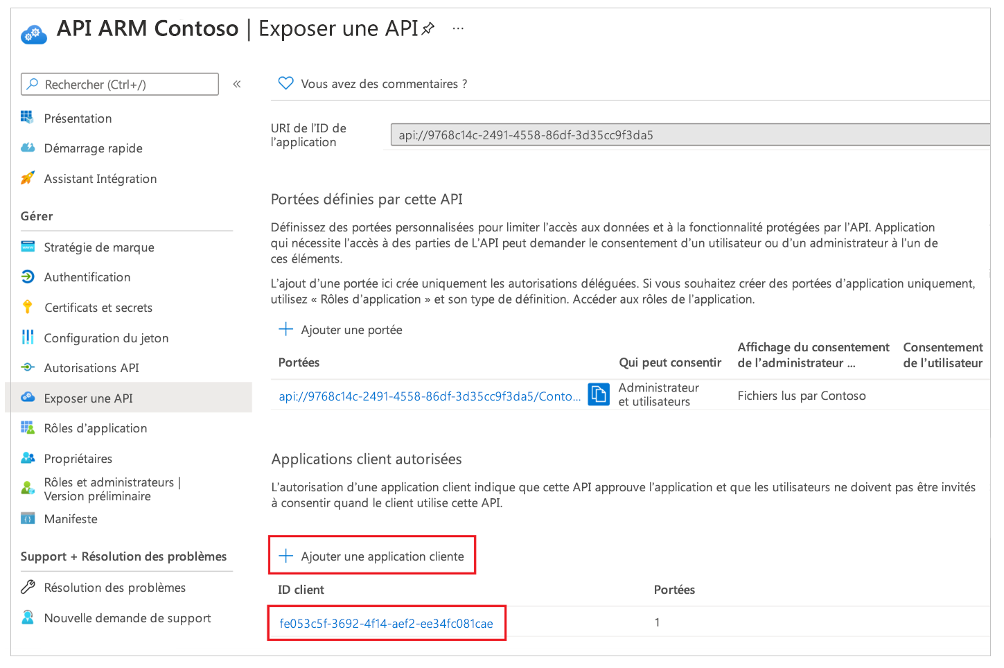 Préautoriser les connexions d’API Azure à l’API personnalisée 1
