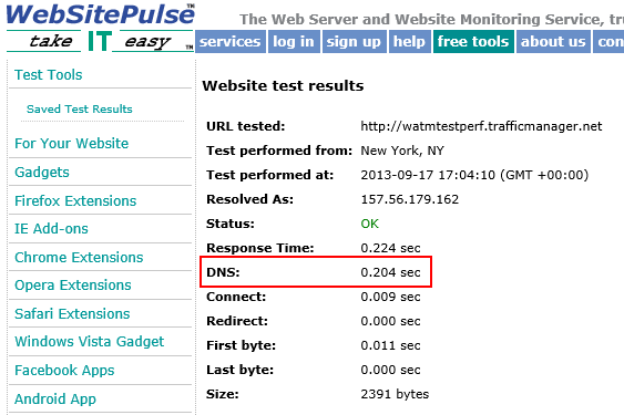 Capture d’écran montrant l’outil « WebSitePulse » avec le résultat de la recherche « DNS » mis en surbrillance.