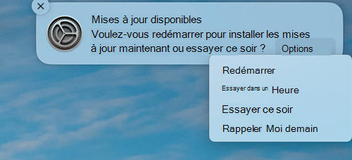 Exemple de notification indiquant qu’une mise à jour est disponible sur un appareil MacOS Apple.