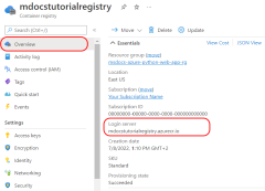 A screenshot showing how to find the login server value for a registry in Azure portal.